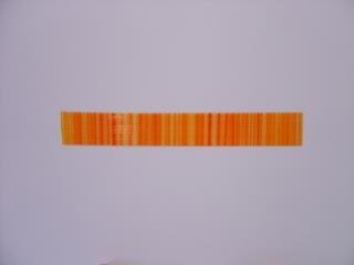 Flachstreifen 2x220 mm 11 Stück orange/g