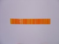 Flachstreifen 2x220 mm 11 Stück orange/g