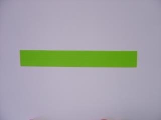 Flachstreifen 2x220 mm 11 Stück hgrün
